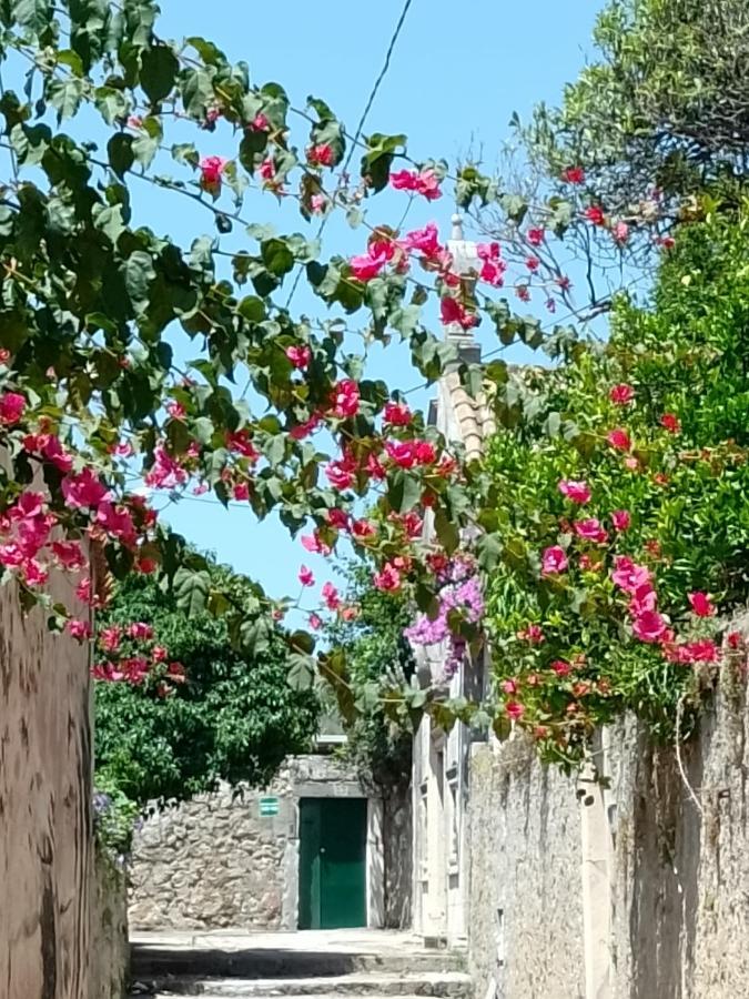 Seaview Dubrovnik Old Town Leilighet Eksteriør bilde